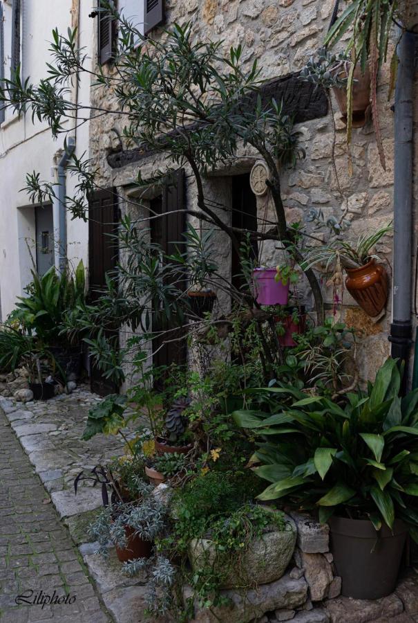 BelgentierCosy Provencal公寓 外观 照片